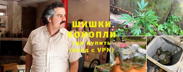 первитин Карпинск