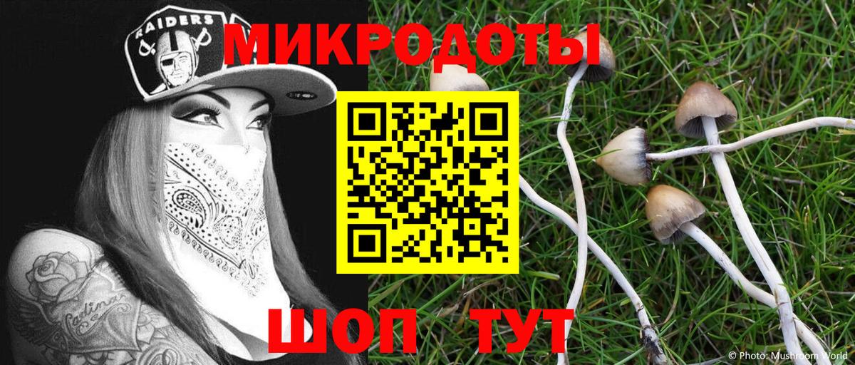 Псилоцибиновые грибы Psilocybine cubensis Коммунар